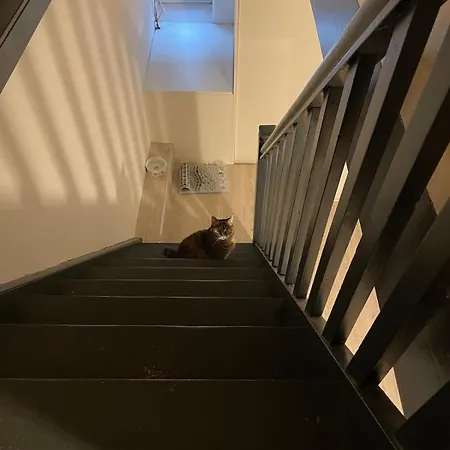 아파트 Like A House - Lovely Maisonette With Cats 브레멘