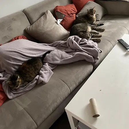 아파트 Like A House - Lovely Maisonette With Cats *