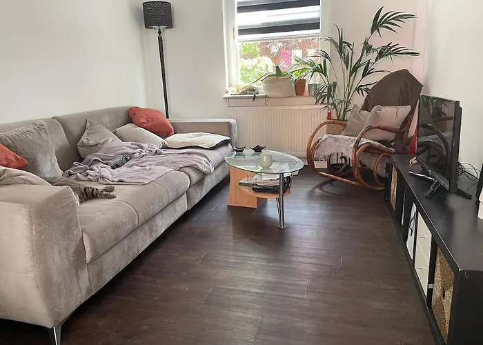 Like A House - Lovely Maisonette With Cats ブレーメン