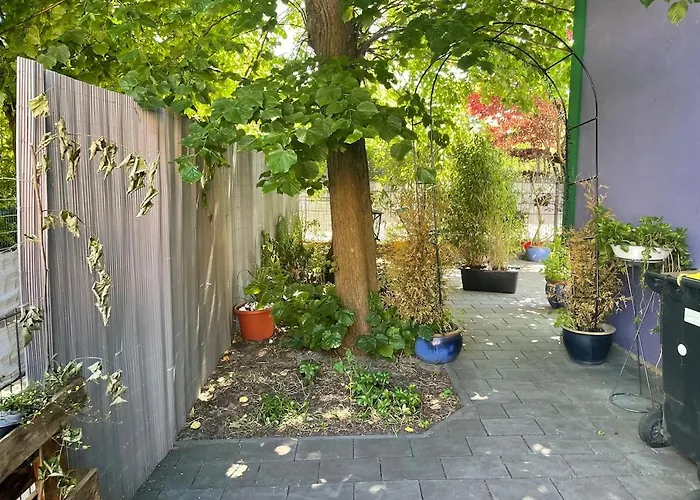 Like A House - Lovely Maisonette With Cats