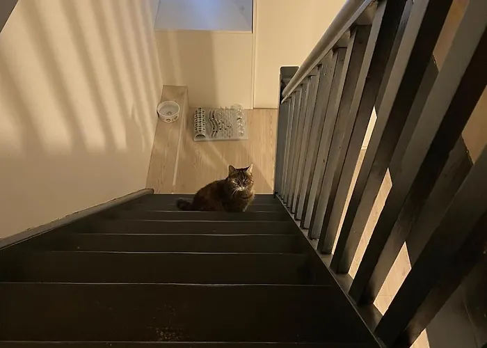 アパート Like A House - Lovely Maisonette With Cats ブレーメン